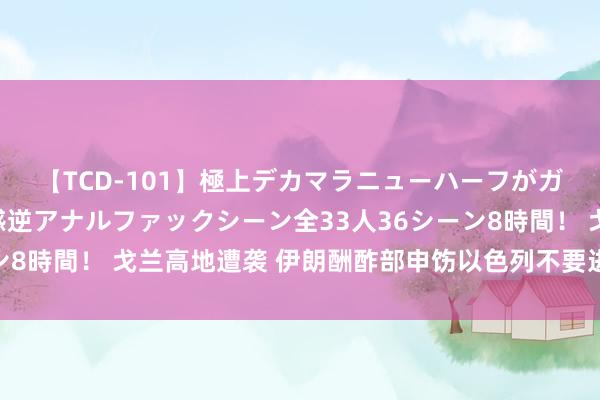 【TCD-101】極上デカマラニューハーフがガン掘り前立腺直撃快感逆アナルファックシーン全33人36シーン8時間！ 戈兰高地遭袭 伊朗酬酢部申饬以色列不要进行冒险行径