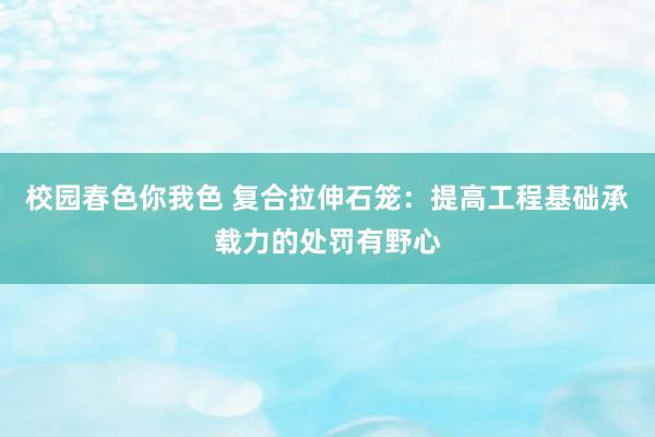 校园春色你我色 复合拉伸石笼：提高工程基础承载力的处罚有野心