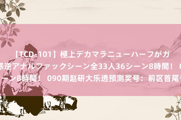 【TCD-101】極上デカマラニューハーフがガン掘り前立腺直撃快感逆アナルファックシーン全33人36シーン8時間！ 090期赵研大乐透预测奖号：前区首尾号码推选