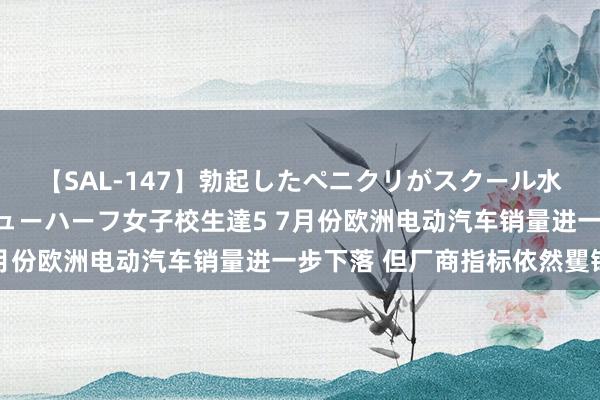 【SAL-147】勃起したペニクリがスクール水着を圧迫してしまうニューハーフ女子校生達5 7月份欧洲电动汽车销量进一步下落 但厂商指标依然矍铄