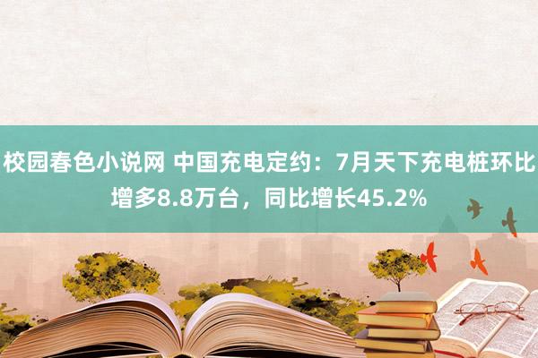 校园春色小说网 中国充电定约：7月天下充电桩环比增多8.8万台，同比增长45.2%