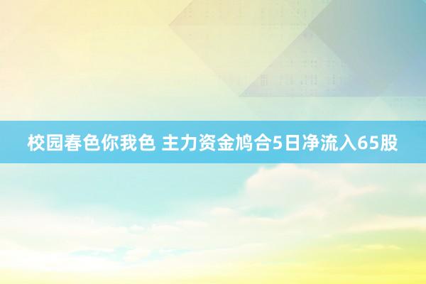 校园春色你我色 主力资金鸠合5日净流入65股