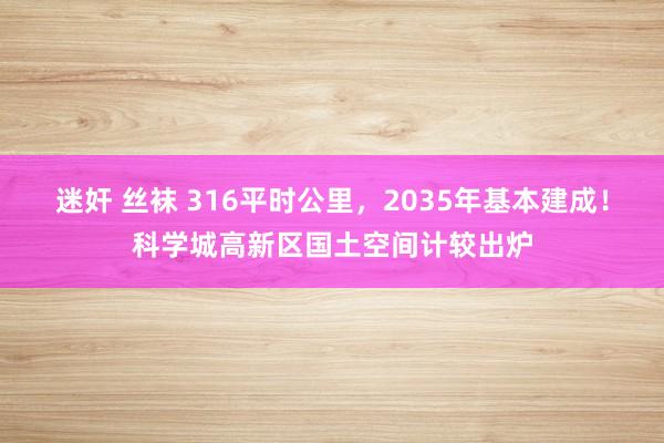 迷奸 丝袜 316平时公里，2035年基本建成！科学城高新区国土空间计较出炉