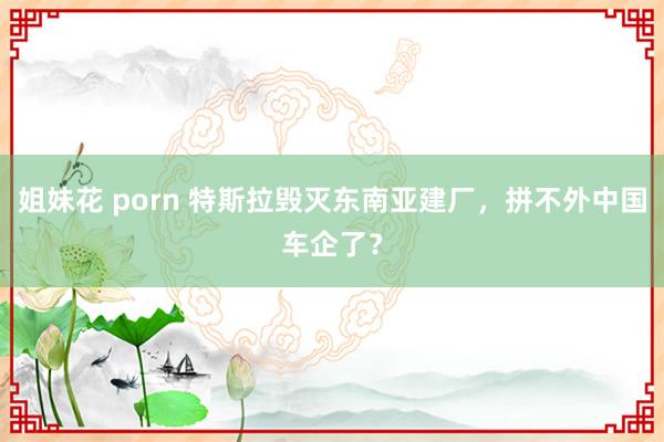 姐妹花 porn 特斯拉毁灭东南亚建厂，拼不外中国车企了？