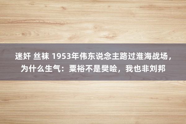 迷奸 丝袜 1953年伟东说念主路过淮海战场，为什么生气：粟裕不是樊哙，我也非刘邦