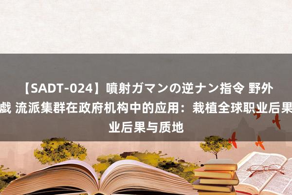 【SADT-024】噴射ガマンの逆ナン指令 野外浣腸悪戯 流派集群在政府机构中的应用：栽植全球职业后果与质地