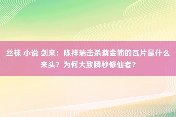 丝袜 小说 剑来：陈祥瑞击杀蔡金简的瓦片是什么来头？为何大致瞬秒修仙者？