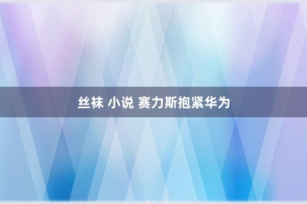 丝袜 小说 赛力斯抱紧华为