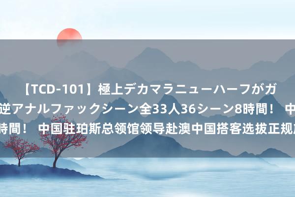 【TCD-101】極上デカマラニューハーフがガン掘り前立腺直撃快感逆アナルファックシーン全33人36シーン8時間！ 中国驻珀斯总领馆领导赴澳中国搭客选拔正规旅游居品提供商