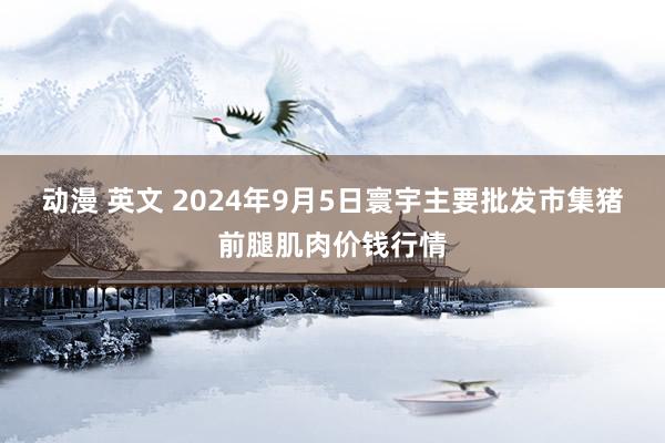 动漫 英文 2024年9月5日寰宇主要批发市集猪前腿肌肉价钱行情