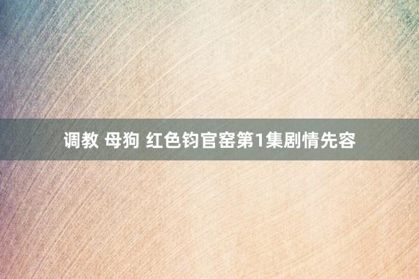 调教 母狗 红色钧官窑第1集剧情先容