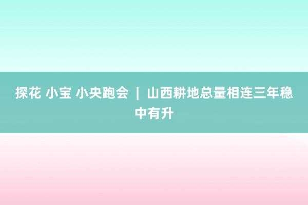 探花 小宝 小央跑会  |  山西耕地总量相连三年稳中有升